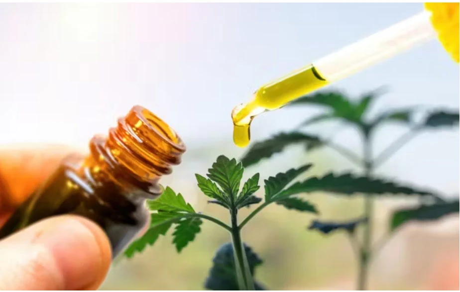 disposable-vape-cbd-oil