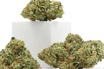 Prečo je CBD najlepším prírodným balzamom na pery