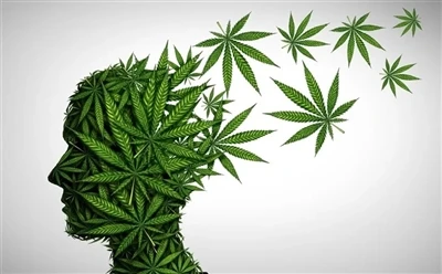 Ako používať CBD olej pre optimálne výhody: Úplný sprievodca?